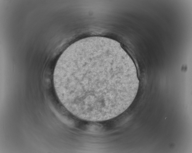 X0000111860215200909031759