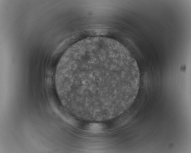 X0000111860218200909031759