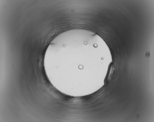 X0000111860219200909031759