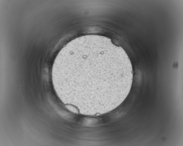 X0000111860220200909031759