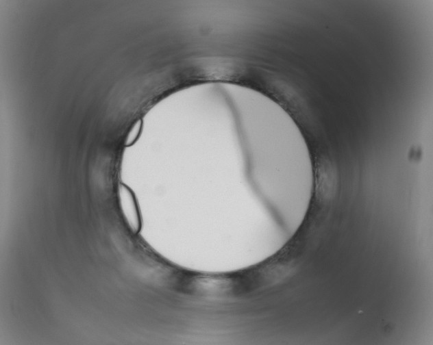 X0000111860221200909031759