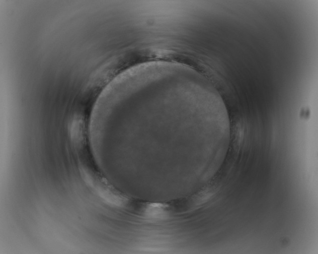 X0000111860222200909031759