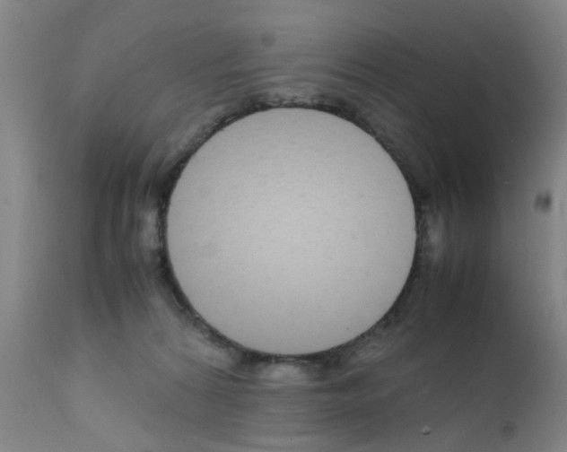 X0000111860224200909031759