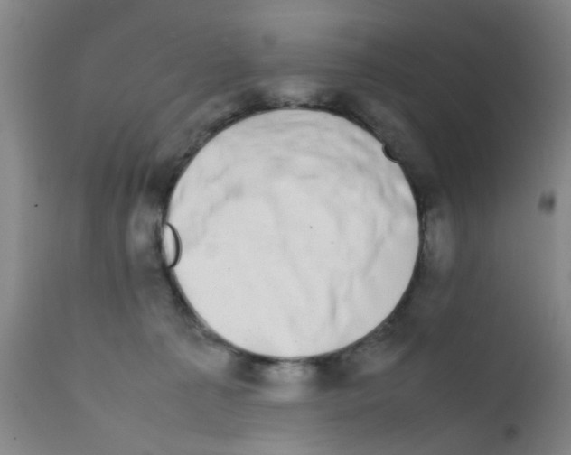 X0000111860225200909031759