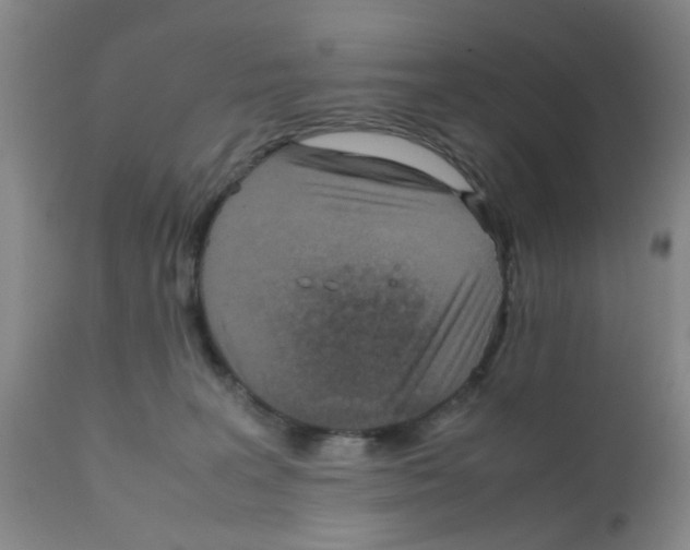 X0000111860227200909031759