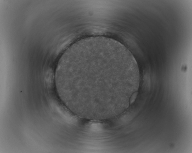 X0000111860228200909031759