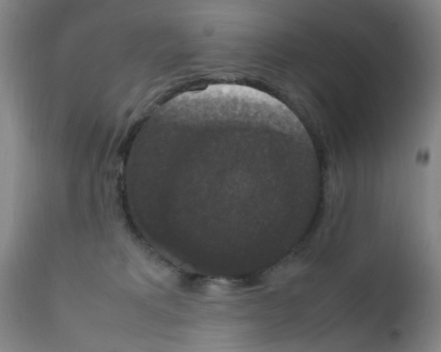 X0000111860229200909031759