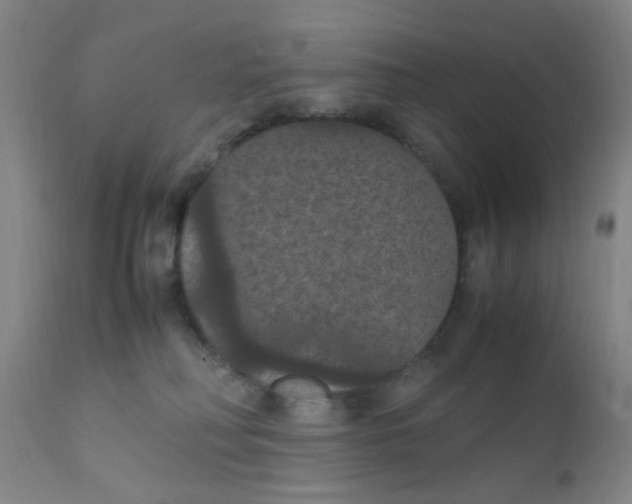 X0000111860230200909031759