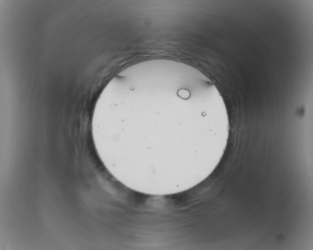 X0000111860231200909031759