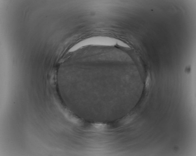 X0000111860233200909031759