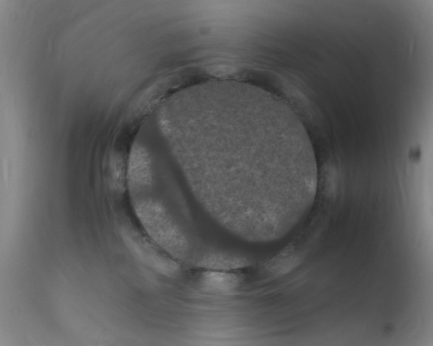 X0000111860234200909031759