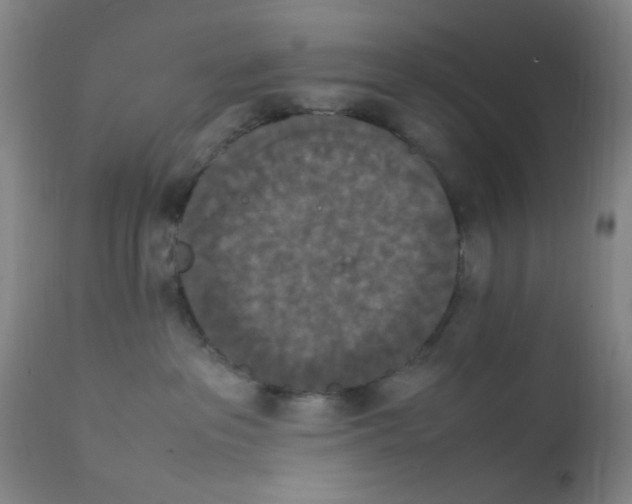 X0000111860237200909031759