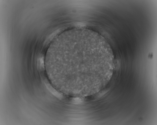 X0000111860238200909031759