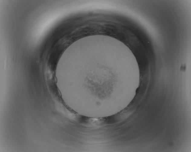 X0000111860239200909031759