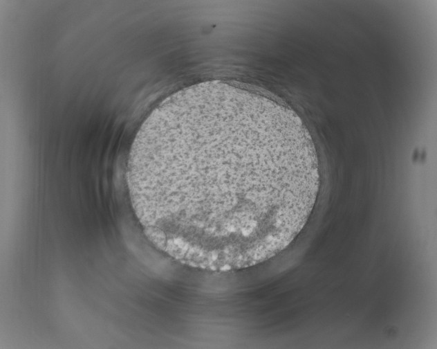 X0000111860240200909031758