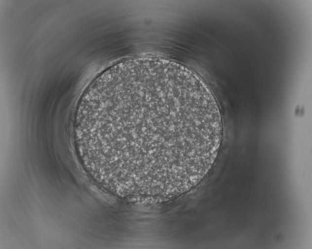 X0000111860241200909031758