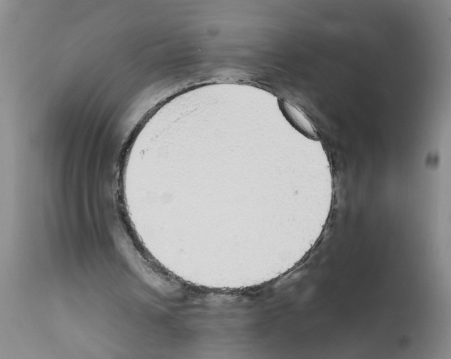 X0000111860242200909031758