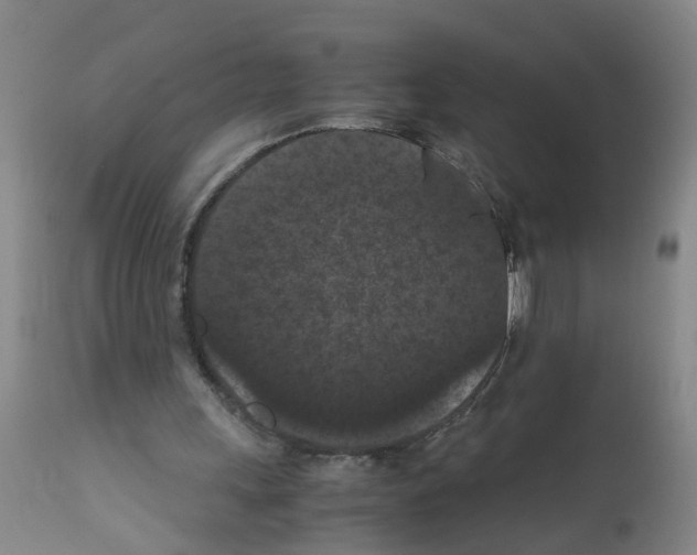 X0000111860243200909031758