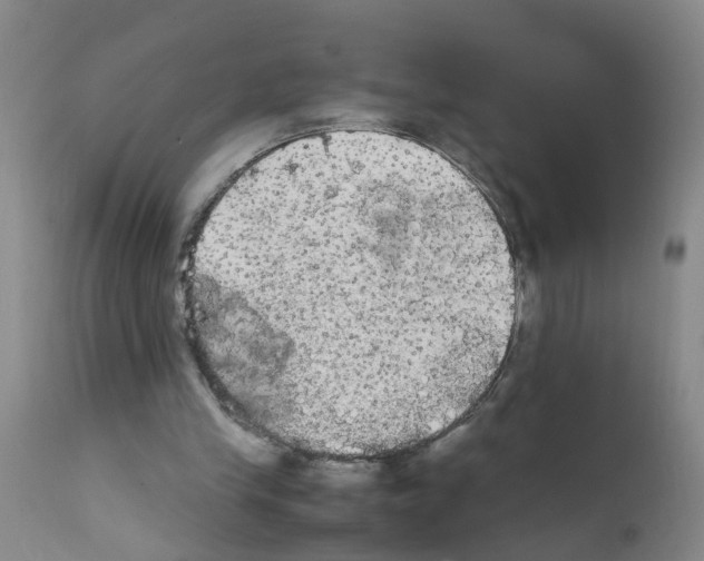X0000111860245200909031758