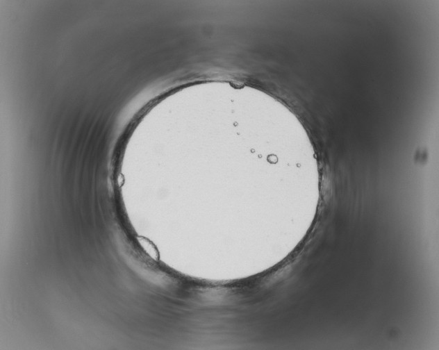X0000111860246200909031758