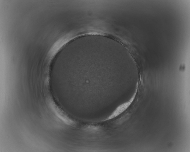 X0000111860247200909031758