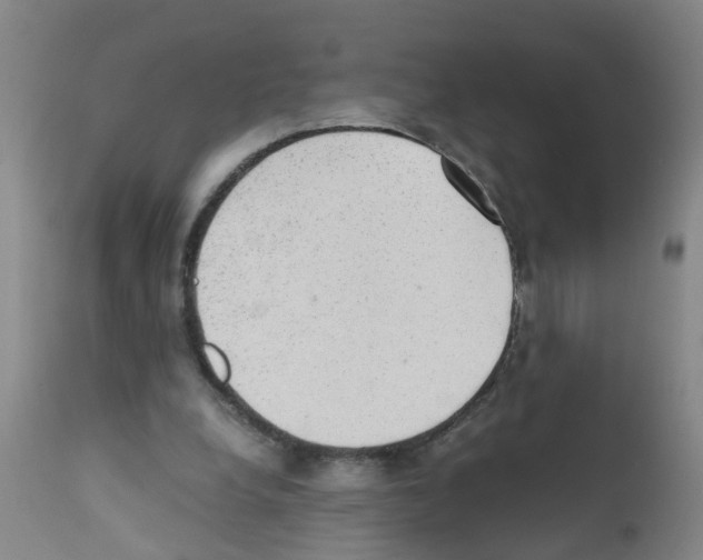 X0000111860248200909031758