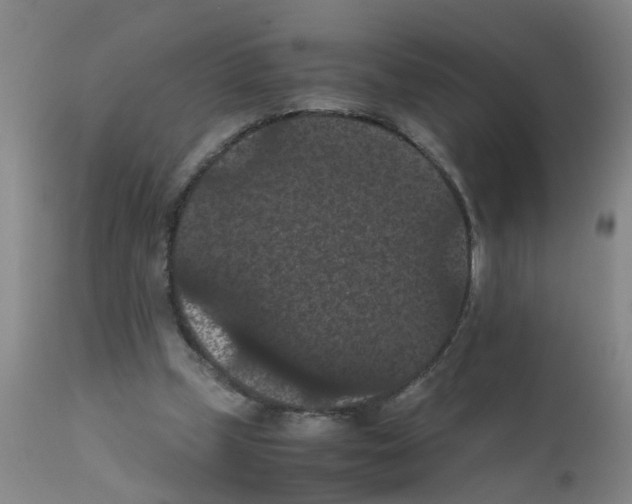 X0000111860249200909031758