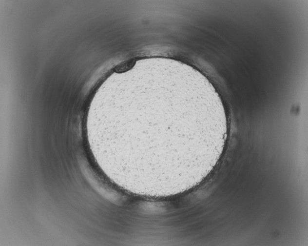 X0000111860250200909031758