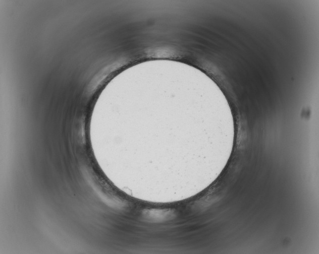 X0000111860251200909031758