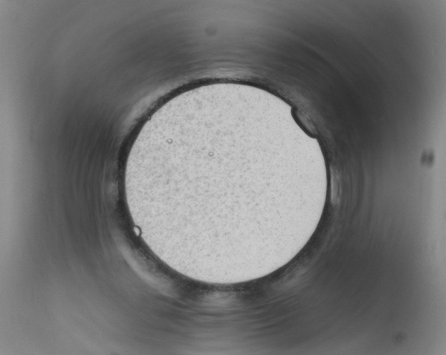 X0000111860252200909031758