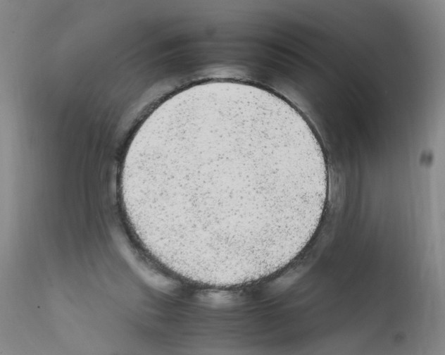 X0000111860253200909031758