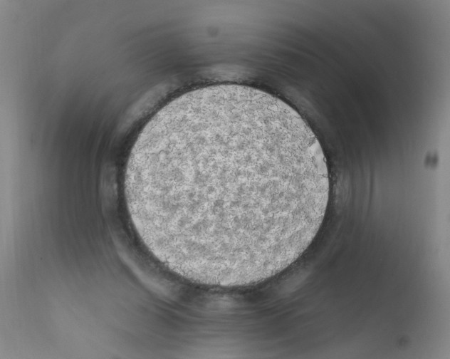 X0000111860254200909031758