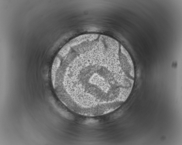 X0000111860257200909031758