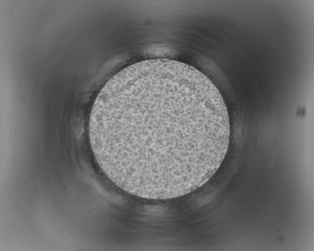 X0000111860259200909031758