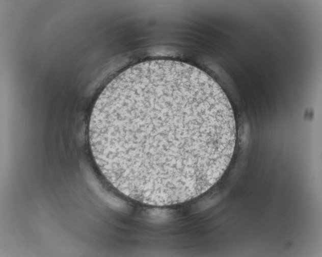 X0000111860261200909031758