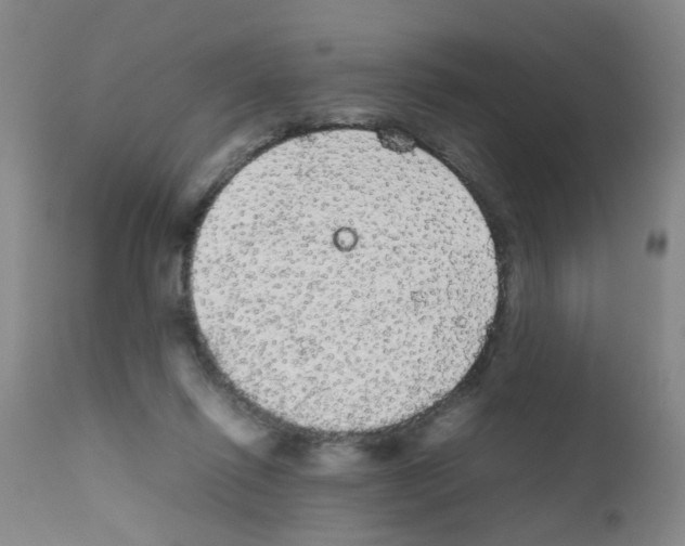 X0000111860262200909031758