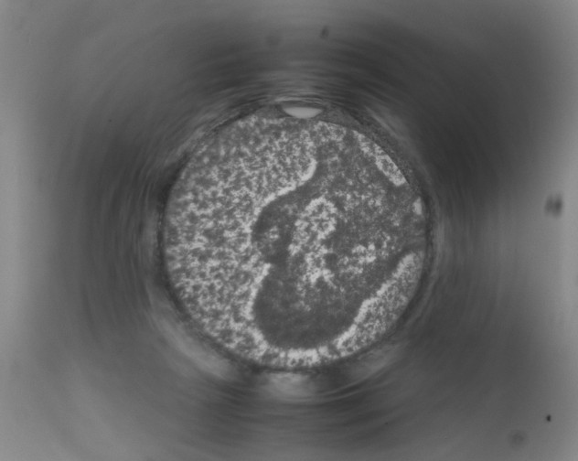 X0000111860265200909031758