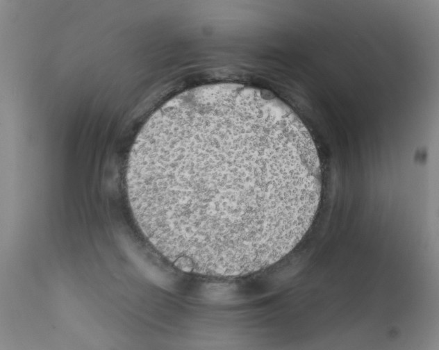 X0000111860266200909031758