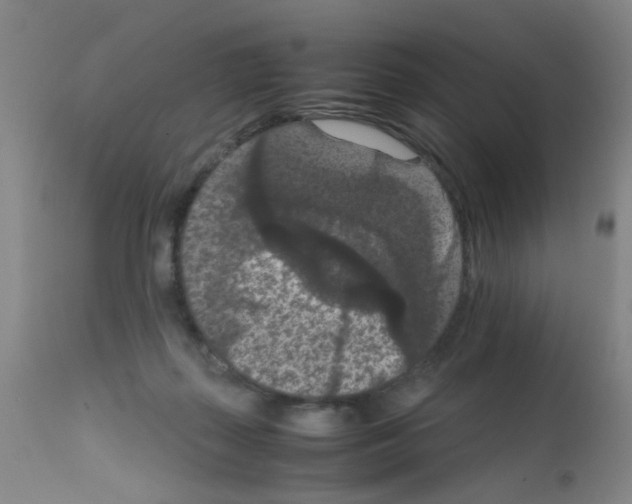 X0000111860267200909031758