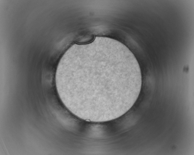 X0000111860268200909031758