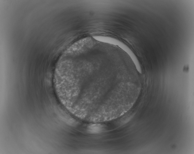 X0000111860269200909031758