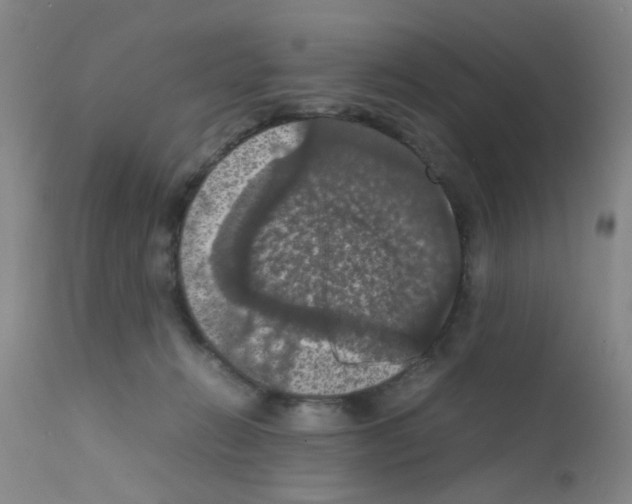 X0000111860270200909031758