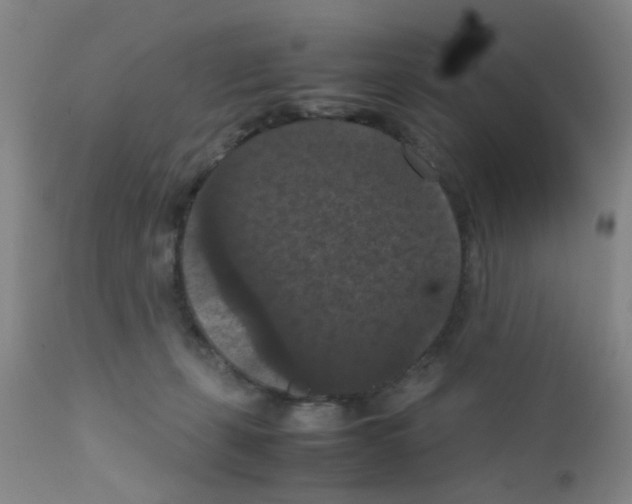 X0000111860271200909031758