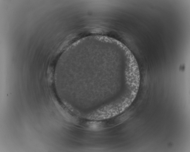 X0000111860273200909031758
