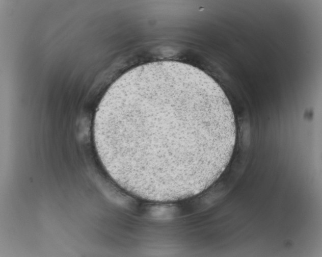 X0000111860274200909031758