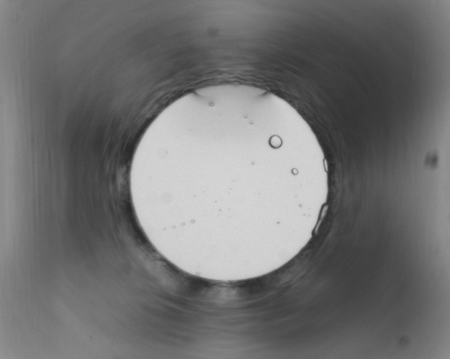 X0000111860276200909031758