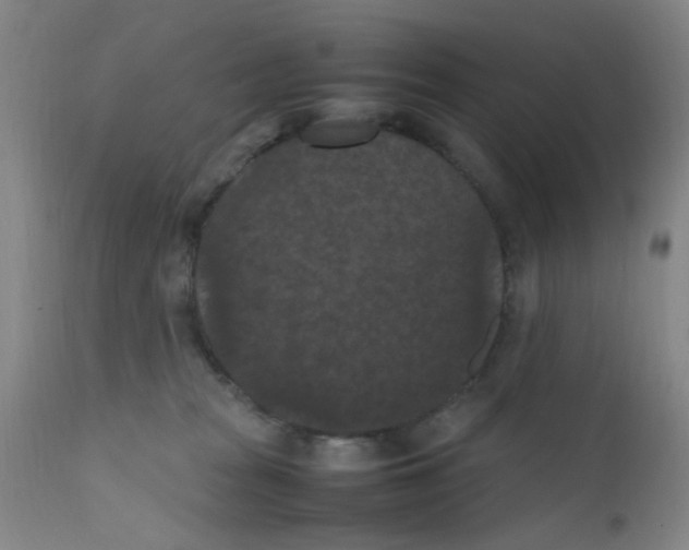 X0000111860277200909031758