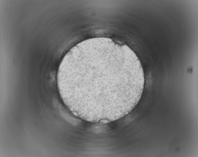 X0000111860278200909031758