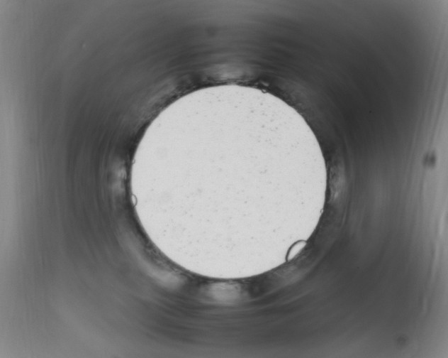 X0000111860279200909031758