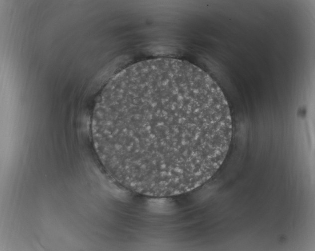 X0000111860281200909031758